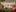 the_view_SummerDeal1